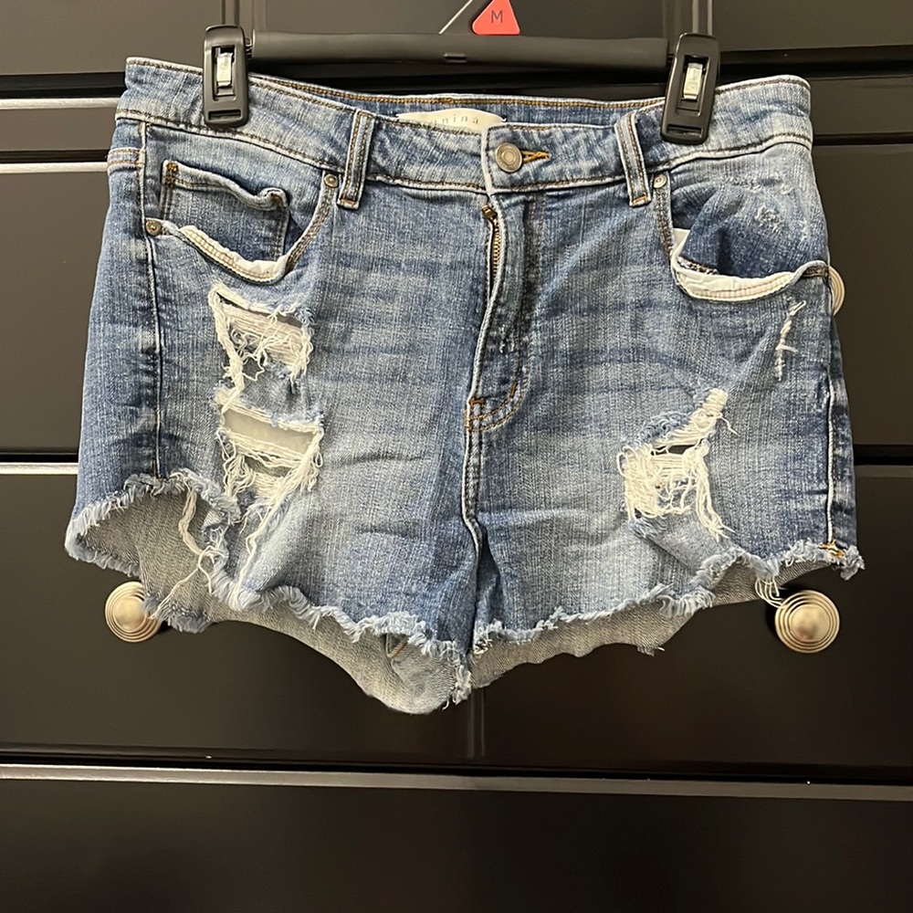 Large short Jean shorts from dry goods. The brand is Eunina.